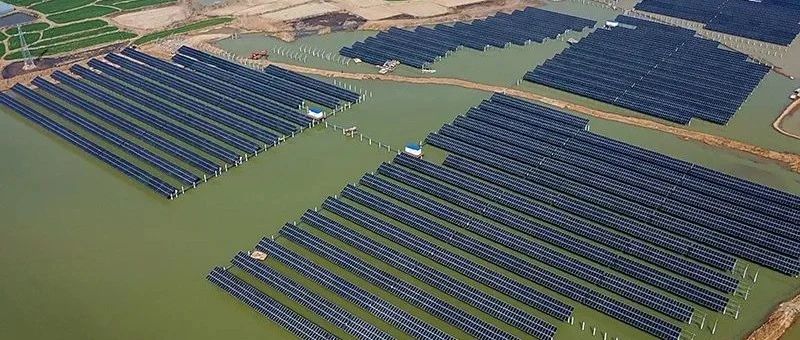  赵立坚微博点赞渔光互补模式壹号娱乐PG科技滁州项目再受关注
